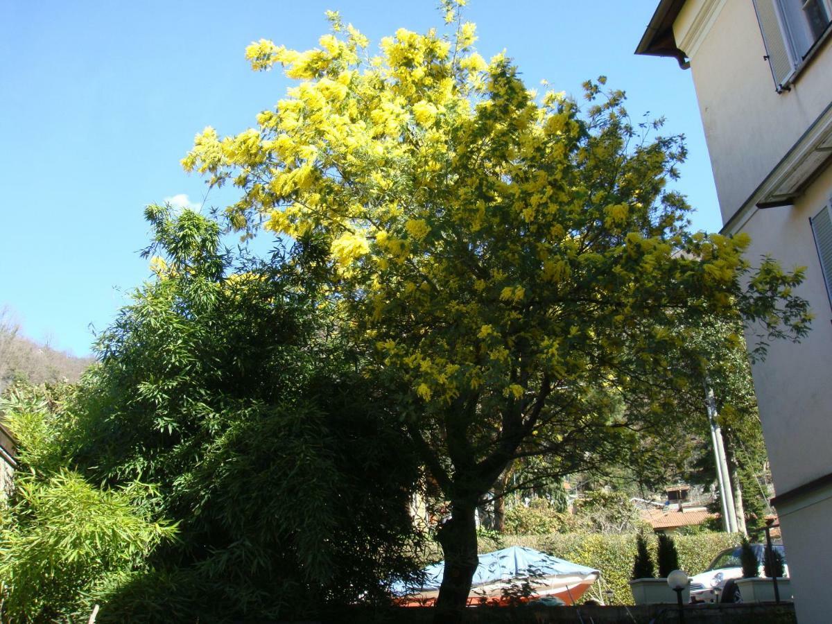 Villa Cardano Maccagno Close To Every Destination ภายนอก รูปภาพ